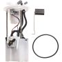 Autopart International Fuel Pump Assembly 2202639291