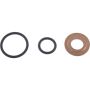 Autopart International Fuel Injector Seal Kit 2204485534