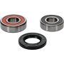 Pivot Works 25-1265-P Honda Wheel Bearing Kit Premium Bearings