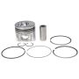 Clevite 225-2738.020 Engine Piston Kit