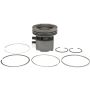 Clevite 225-3973 Engine Piston Kit