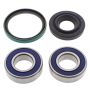 All Balls Racing 14-1023 95-98 Ski-Doo Formula S Drive Shaft Bearing & Seal Kit Lower Shaft - Track