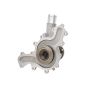 Dayco DP974 Water Pump