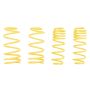 Suspension (66208 ST LOWERING SPRINGS)