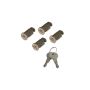 Rhino-Rack RLK-LOCK-4 Rhino Rack Lock Kit To Suit Leg (4 Pcs)