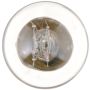 Philips 2357LLB2 Philips LongerLife Miniature 2357LL