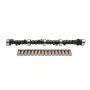 EDELBROCK EDE5002 SBC Cam & Lifter Kit