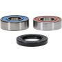 Pivot Works 25-1059-P Yamaha Wheel Bearing Kit Premium Bearings