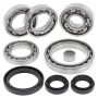 All Balls Racing 25-2104 19-20 CF-Moto U Force 500 Differential Bearing & Seal Kit Front