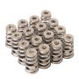 GSC Power Division 5021 GSC P-D 2022+ Subaru WRX FA24F Conical Valve Spring and Ti Retainer Kit