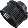 Autopart International Blower Motor 2400257246
