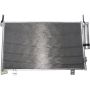 Autopart International A/C Cond. & Receiver Drier Asy 2403450606
