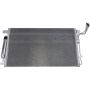 Autopart International A/C Cond. & Receiver Drier Asy 2403450676