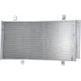 Autopart International A/C Cond. & Receiver Drier Asy 2403450839