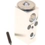 Autopart International A/C Expansion Valve 2403587425