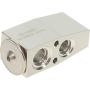 Autopart International A/C Expansion Valve 2403611959