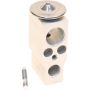 Autopart International A/C Expansion Valve 2403732254