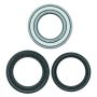 QuadBoss 413982 03-13 Kawasaki KVF360A Prairie 4x4 Front ATV Wheel Bearing & Seal Kit
