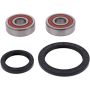 Pivot Works 25-1585-P Triumph Wheel Bearing Kit Premium Bearings