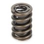 PAC RACING SPRINGS PACPAC-1924-1 Valve Spring - HR Series (1)