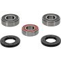 Pivot Works 25-1262-P Suzuki Wheel Bearing Kit Premium Bearings