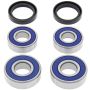 All Balls Racing 25-1646 00-07 BMW F650 GS/GS Dakar Wheel Bearing Kit Rear