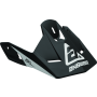 Answer 446053 Visors