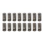PAC RACING SPRINGS PACPAC-1233-16 1.025 Valve Springs - Ovate Beehive (16)