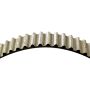 Dayco 95319 Timing Belt