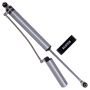 Bilstein 25329858 B8 5160 - Suspension Shock Absorber