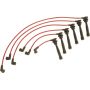 Autopart International Ignition Wire Set 250010824