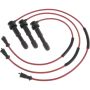 Autopart International Ignition Wire Set 250010843