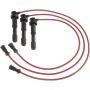 Autopart International Ignition Wire Set 250010844