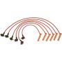Autopart International Ignition Wire Set 2500231902