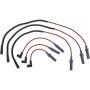 Autopart International Ignition Wire Set 2500314373
