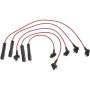 Autopart International Ignition Wire Set 250079004