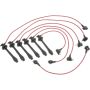 Autopart International Ignition Wire Set 250079007