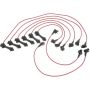 Autopart International Ignition Wire Set 250079013