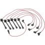 Autopart International Ignition Wire Set 250079017