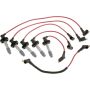 Autopart International Ignition Wire Set 250079035