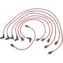 Autopart International Ignition Wire Set 250079096