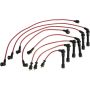 Autopart International Ignition Wire Set 250079174