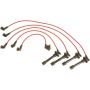 Autopart International Ignition Wire Set w/ Coil Wire 250079227