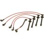 Autopart International Ignition Wire Set 250079255