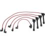 Autopart International Ignition Wire Set 250079308