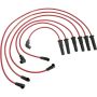 Autopart International Ignition Wire Set 250079317