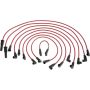 Autopart International Ignition Wire Set 250079380