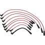 Autopart International Ignition Wire Set 250079384