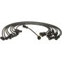 Autopart International Ignition Wire Set 250079392