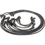 Autopart International Ignition Wire Set 250079394